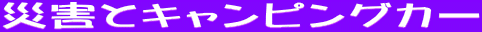 ЊQƃLsOJ[

